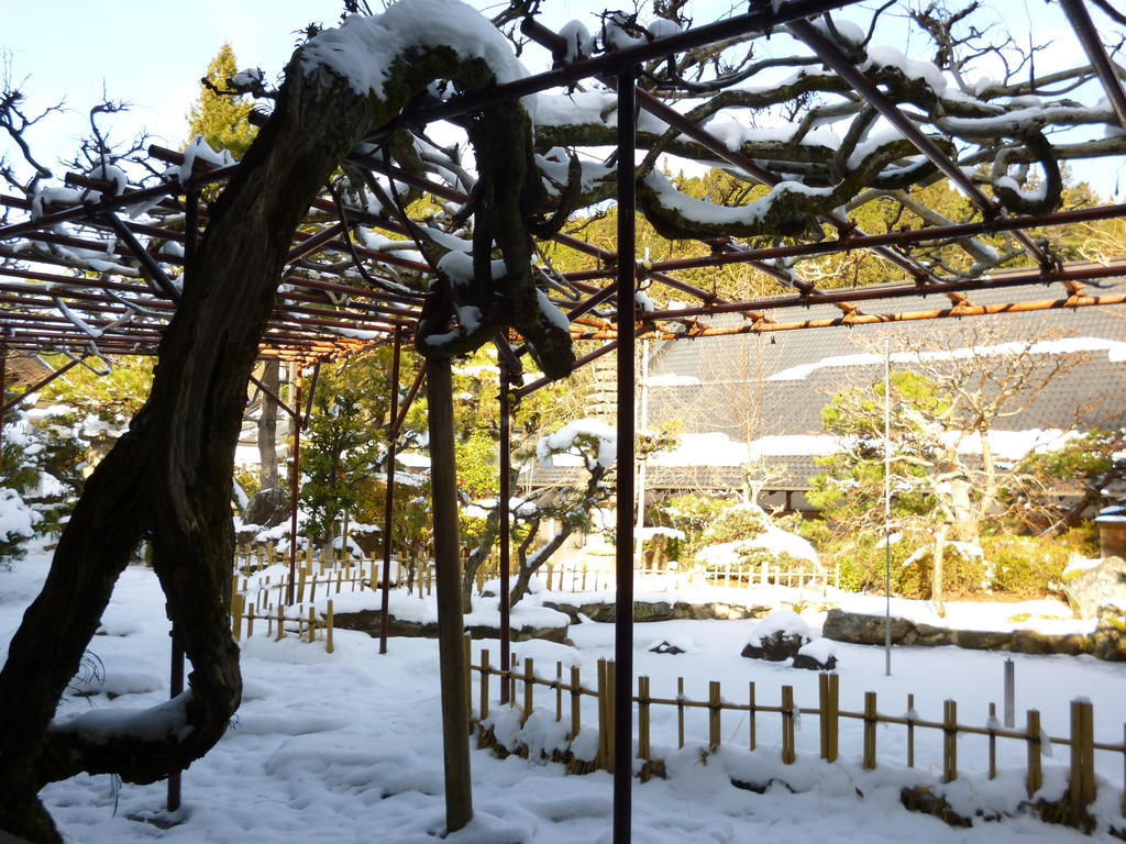 高野山 宿坊 熊谷寺 -Koyasan Shukubo Kumagaiji- Wakayama Extérieur photo